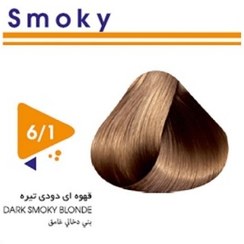 رنگ مو آرتین شماره 6.1 حجم 100 میلی لیتر رنگ بلونددودی تیره