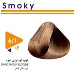 رنگ مو آرتین شماره 6.1 حجم 100 میلی لیتر رنگ بلونددودی تیره