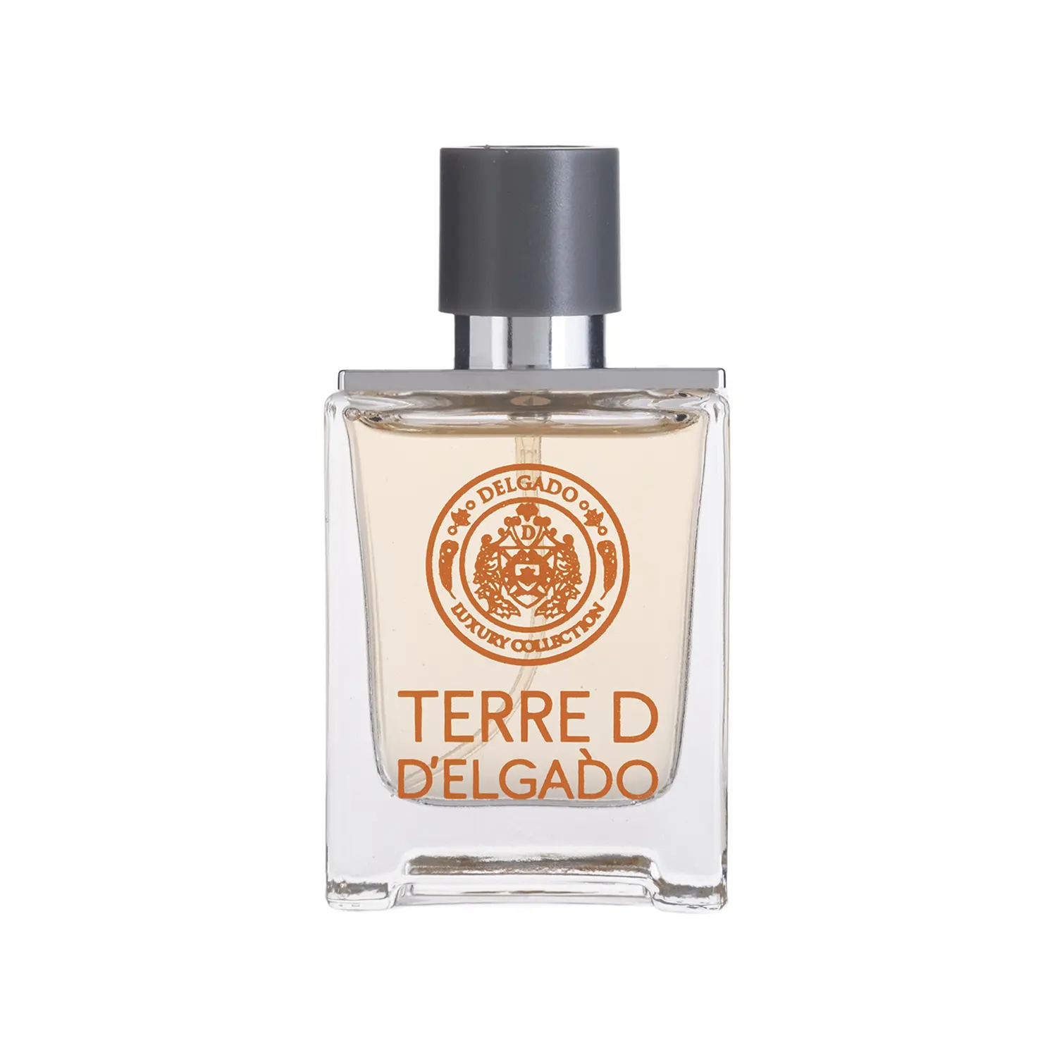 عطر جیبی مردانه دلگادو مدل Terre D حجم 25 میلی لیتر